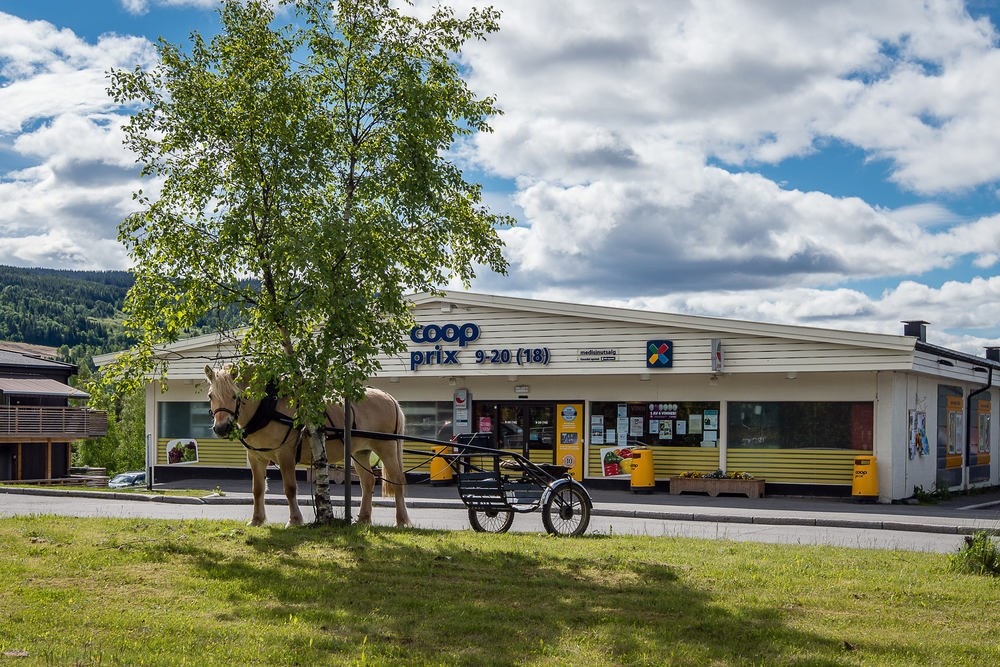 Det er kort veg til matbutikken Coop i Vestre. Galleribilde