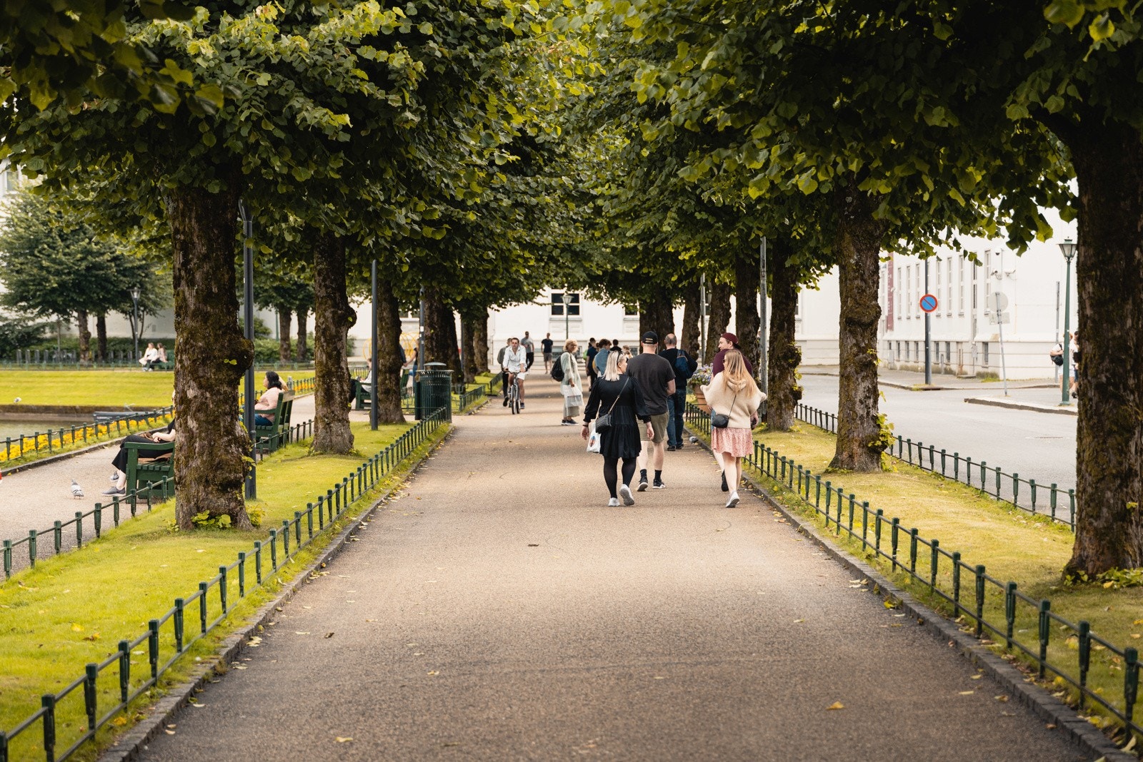 Velkommen til visning! Galleribilde