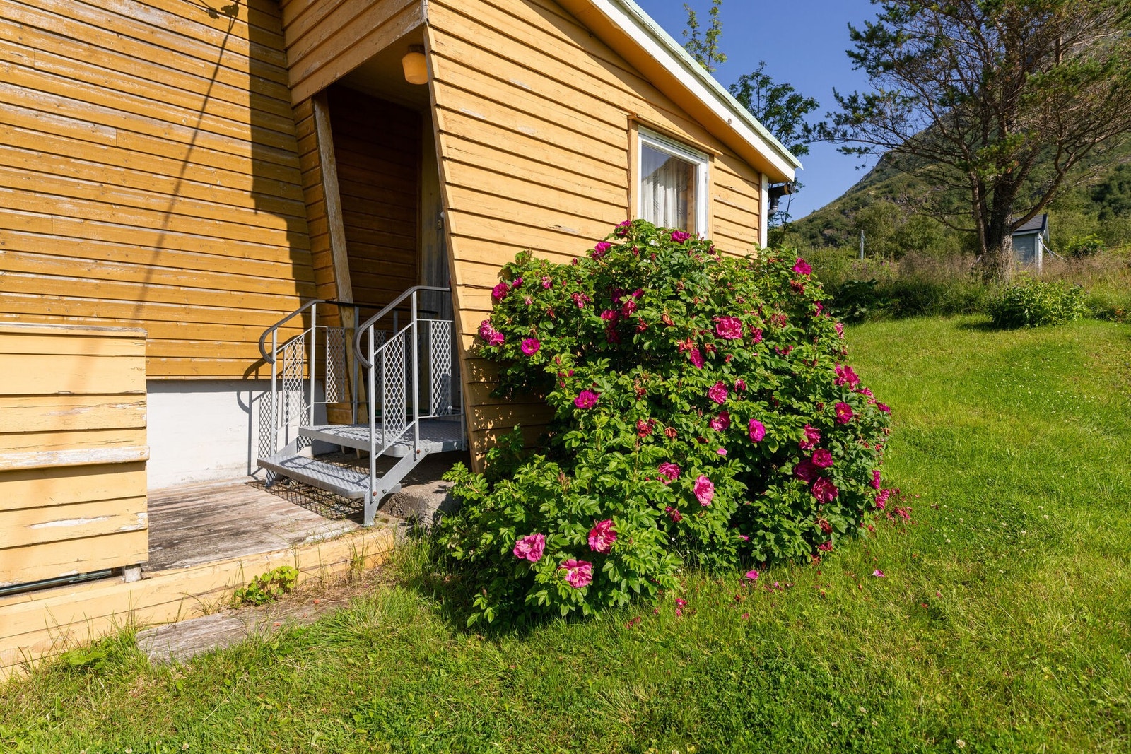 Tomten er opparbeidet med flott plenområde med busker og trær, hvor du kan nyte gode solforhold og flott utsikt. Galleribilde