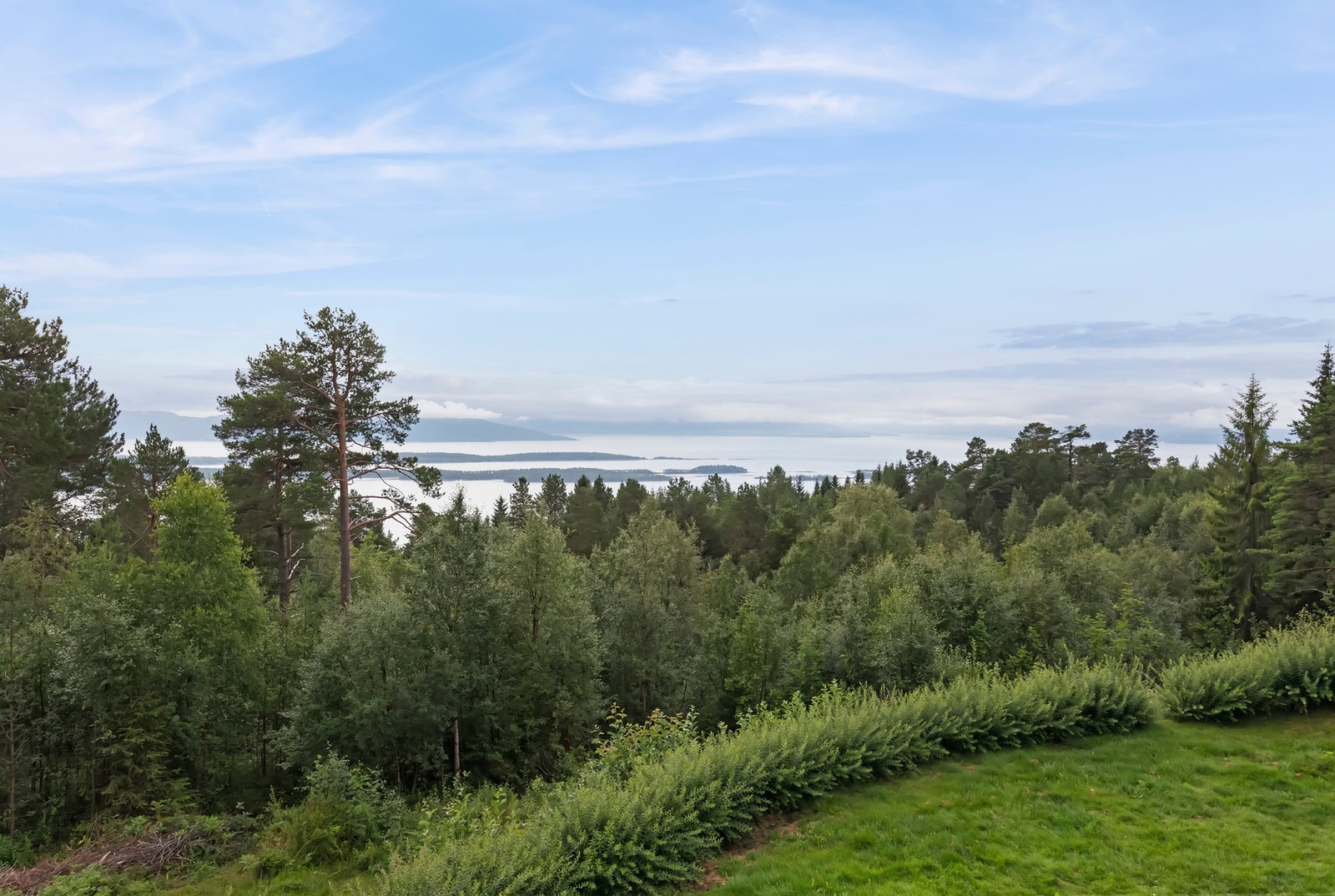Utsikt Galleribilde