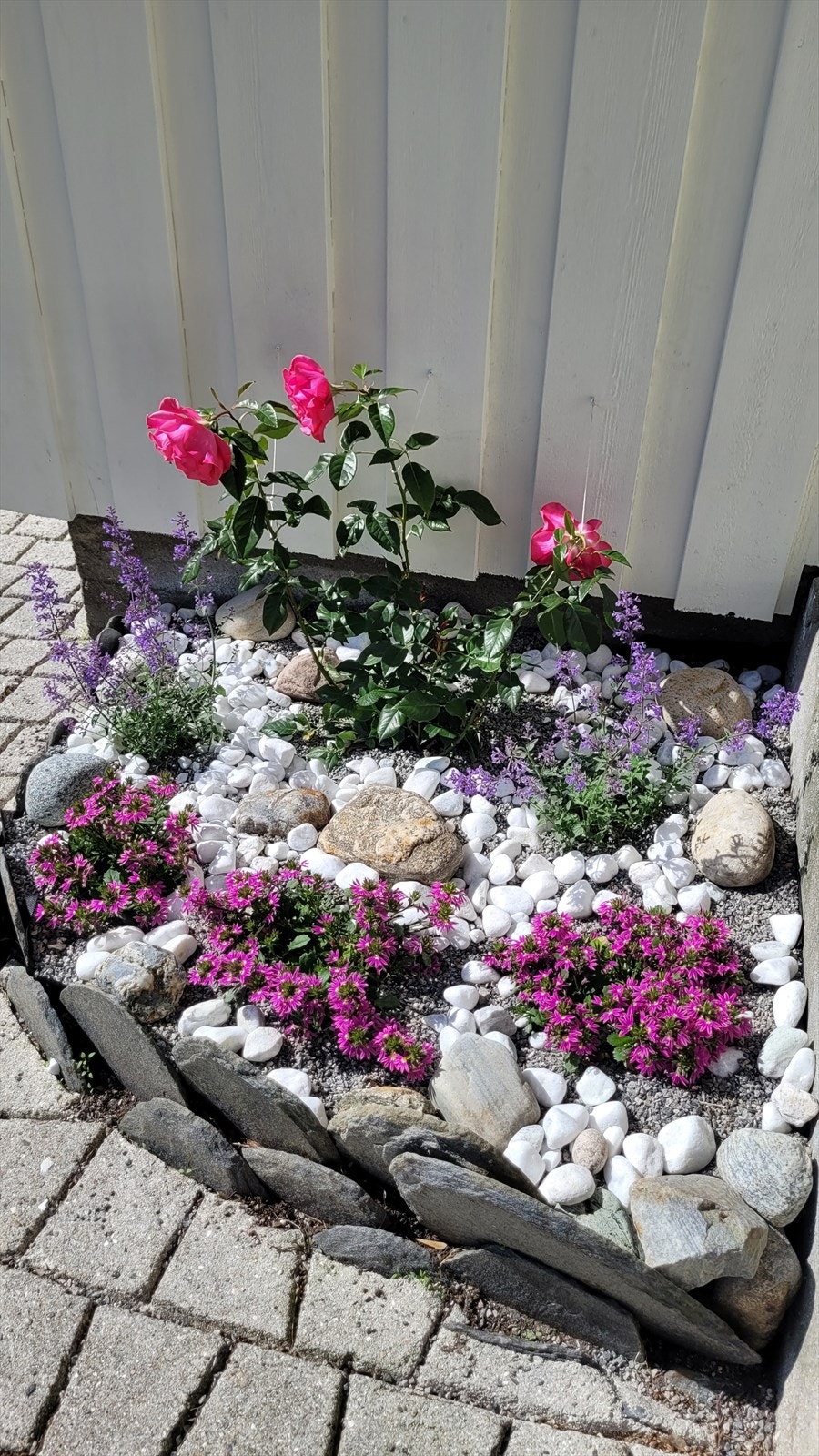 20240704_110159.jpg Galleribilde