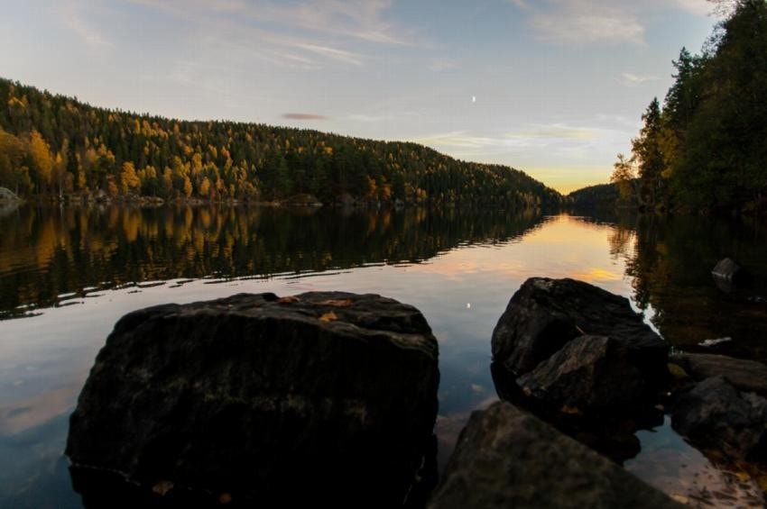 Nærområde Galleribilde