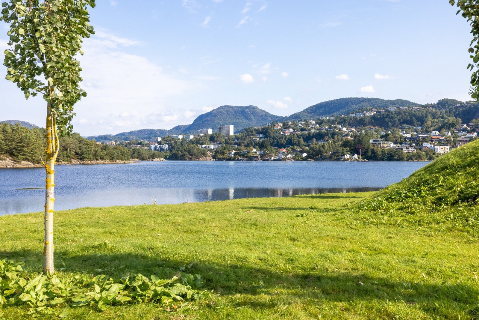 Fine turmuligheter rundt Sælenvannet. Galleribilde