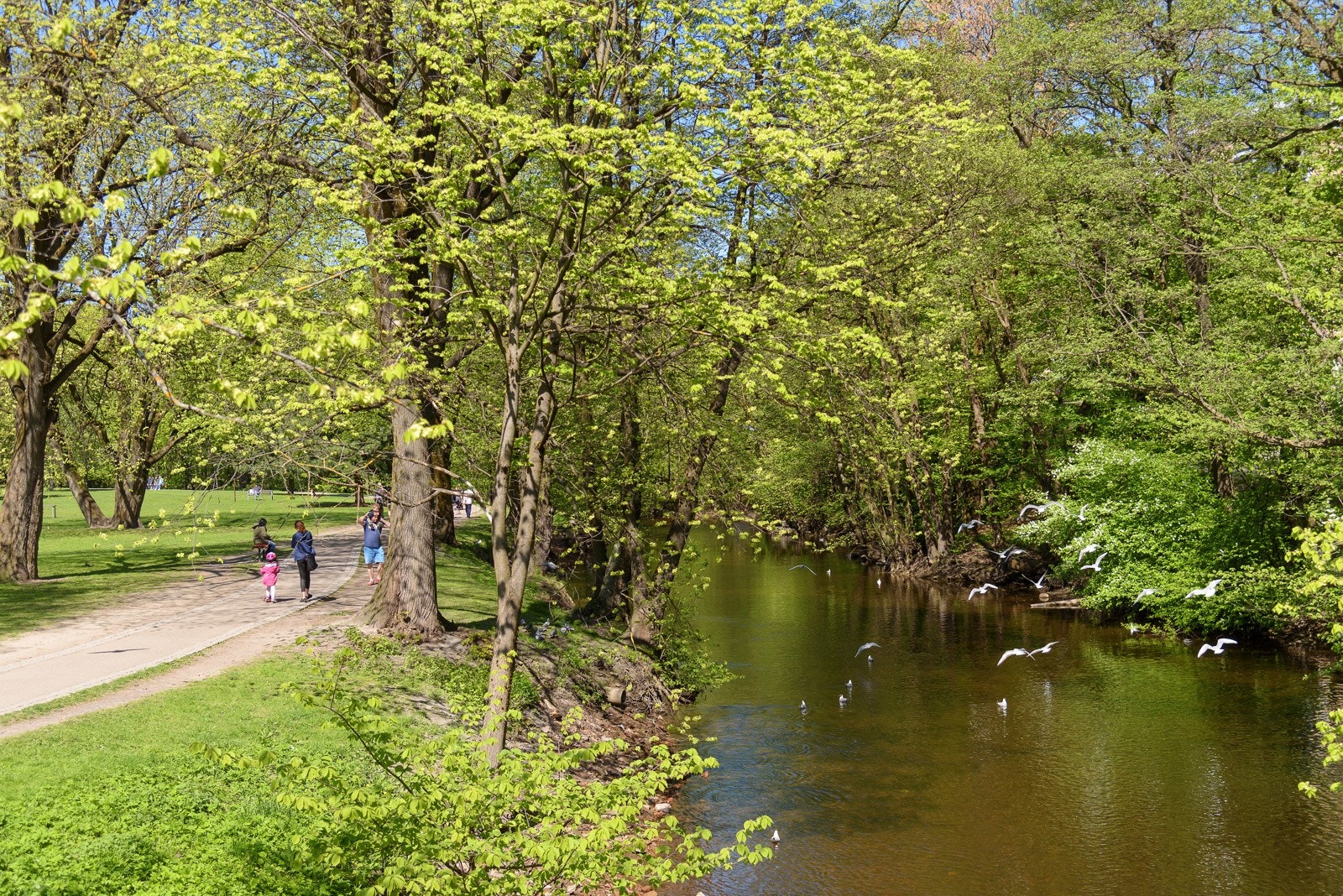 Nærområdet. Galleribilde