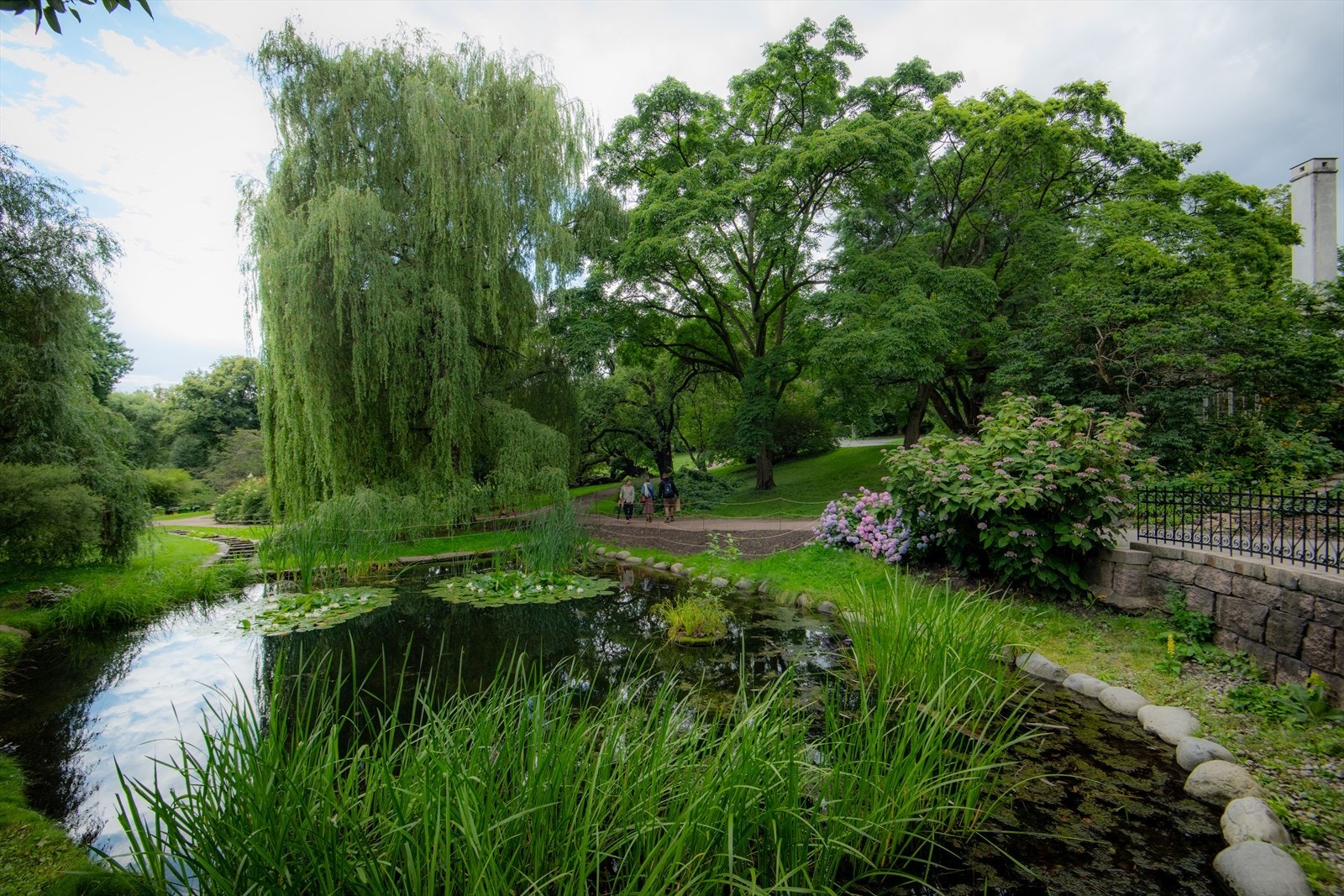 Botanisk hage er perfekt for hyggelige søndagsutflukter. Galleribilde