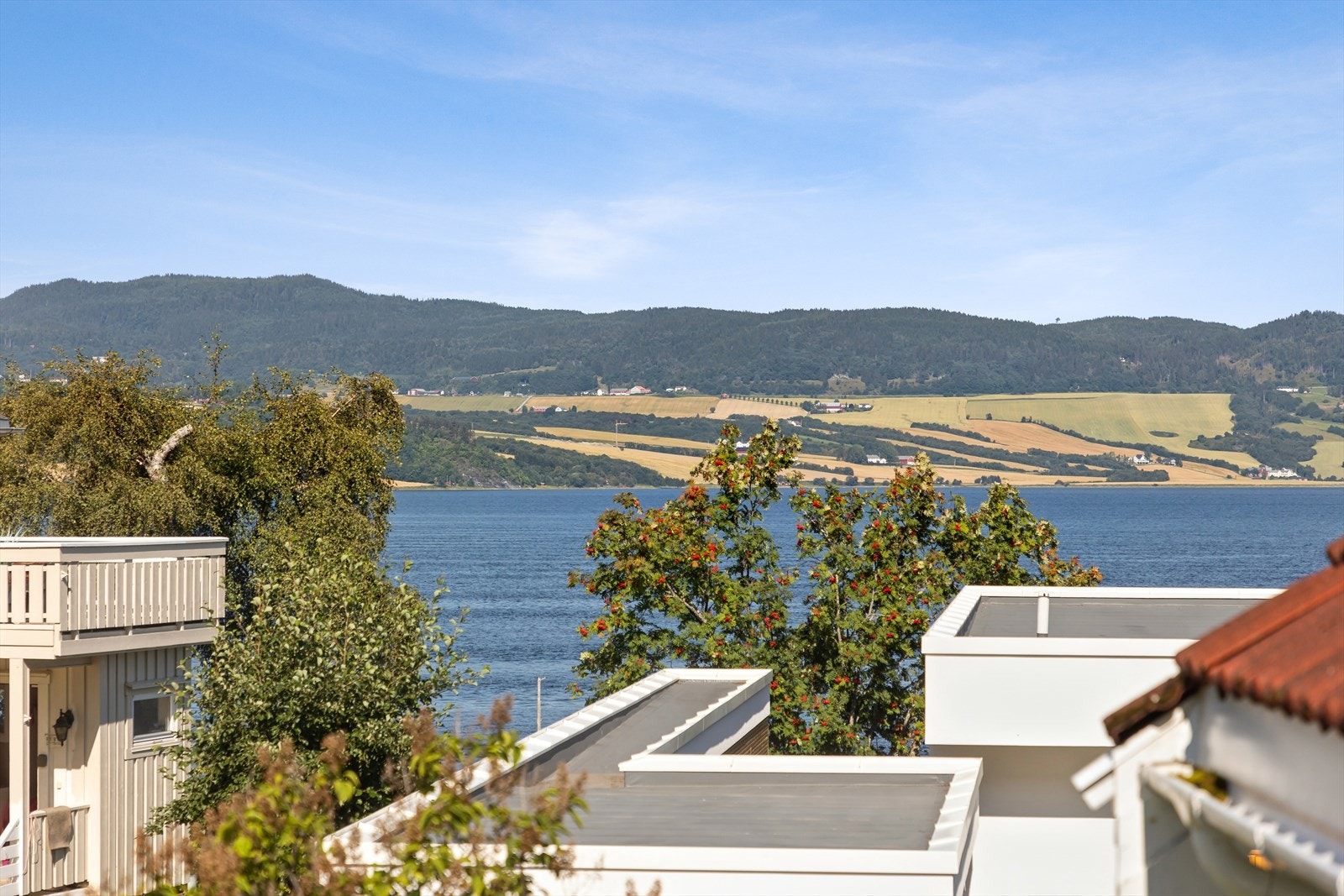 Nydelig utsikt over fjorden. Galleribilde