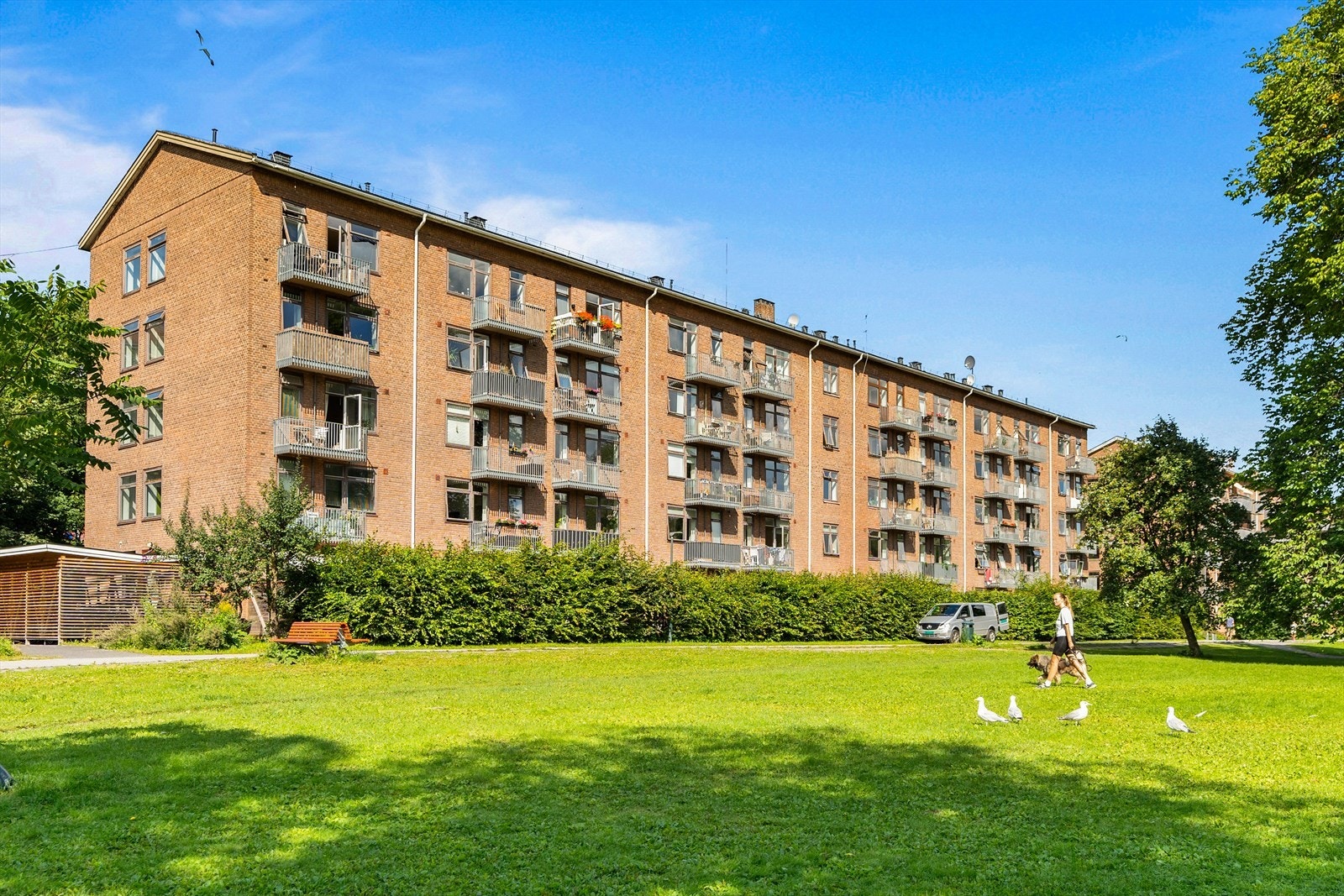 Leiligheten ligger velplassert på Bjølsen med kort vei til dagligvare, busstopp, Handelshøyskolen BI og Akerselva blant annet. Galleribilde