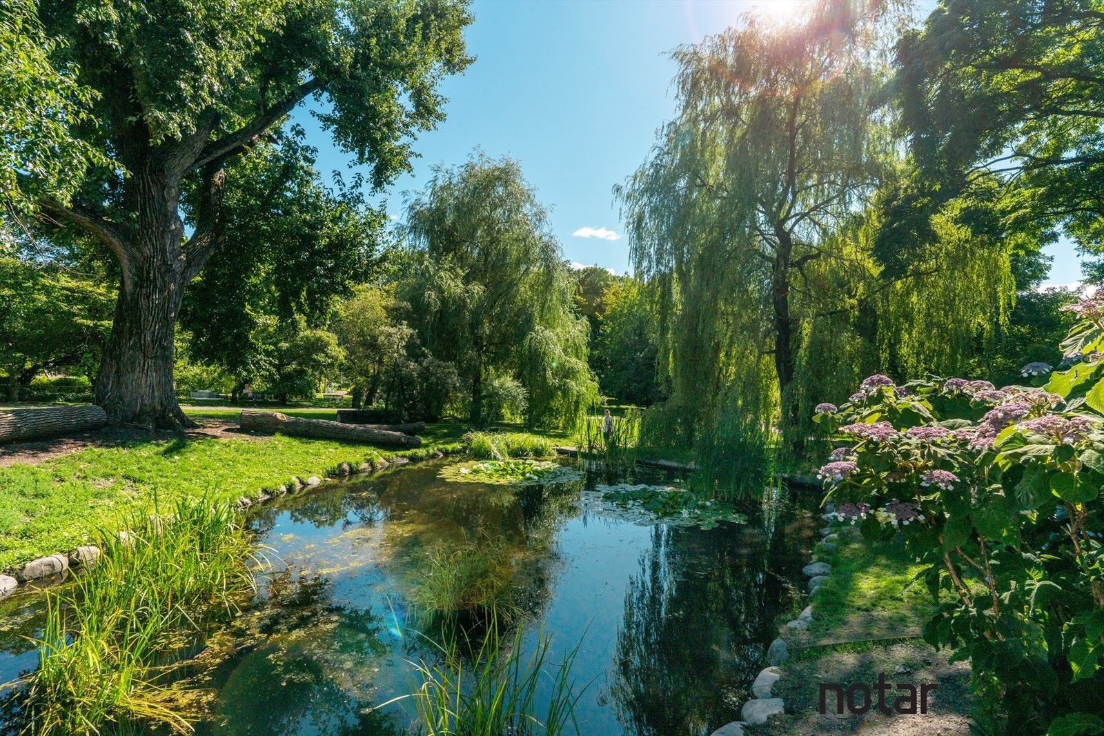 Idylliske Botanisk hage er en kort spasertur fra leiligheten Galleribilde