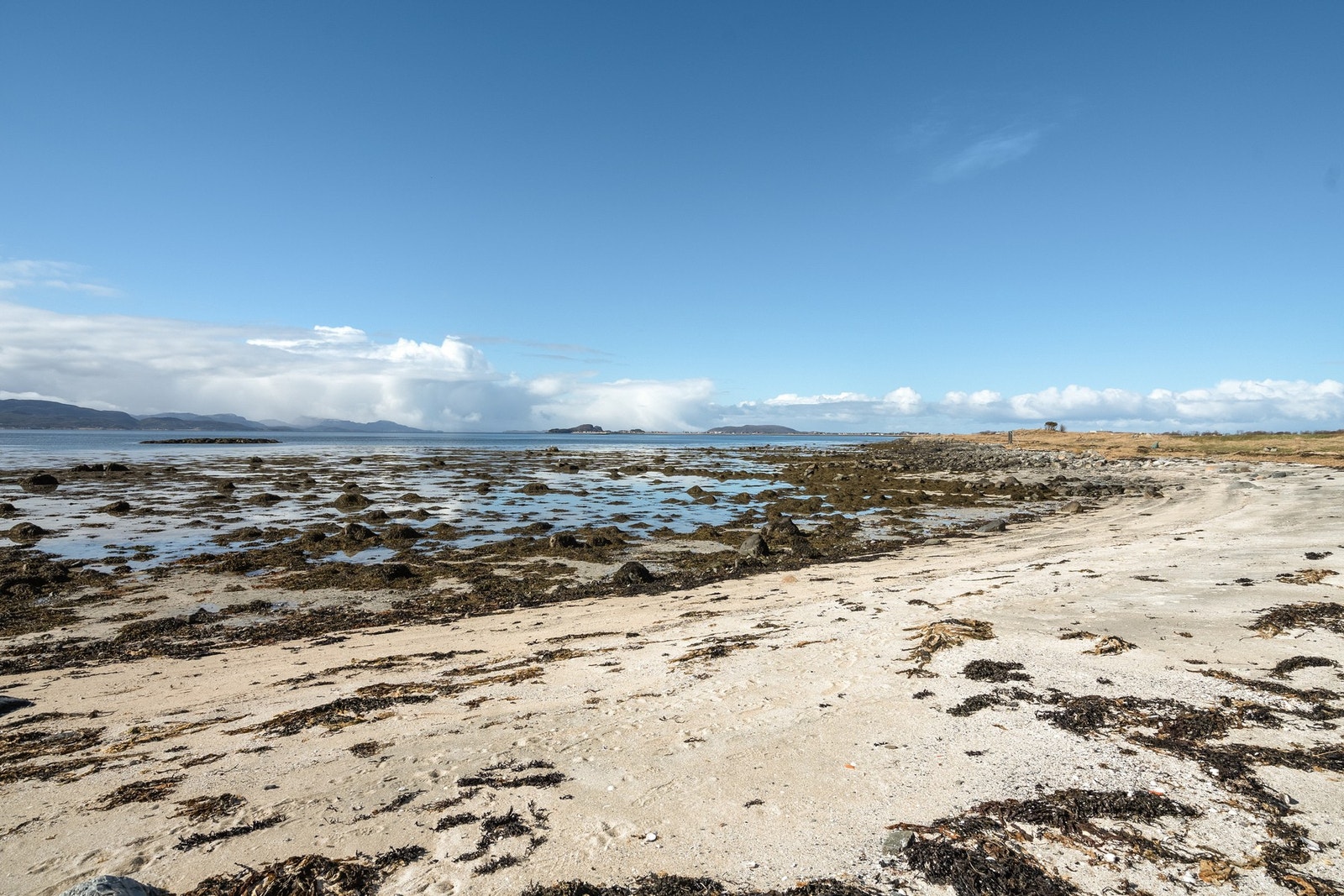 En flott og kritthvit strand like nedenfor Galleribilde
