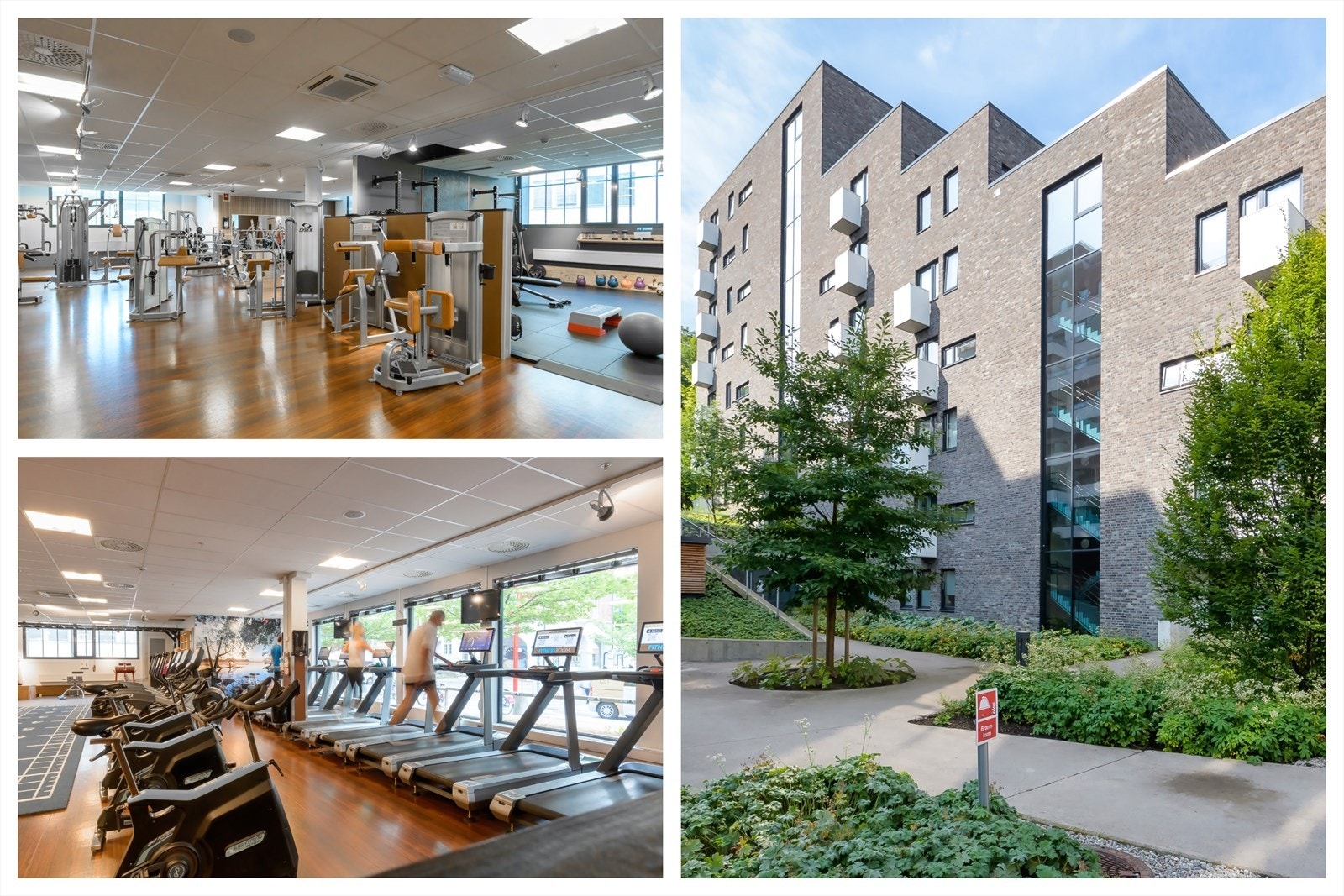 Kort vei til treningssenter (Fitnessroom) Galleribilde