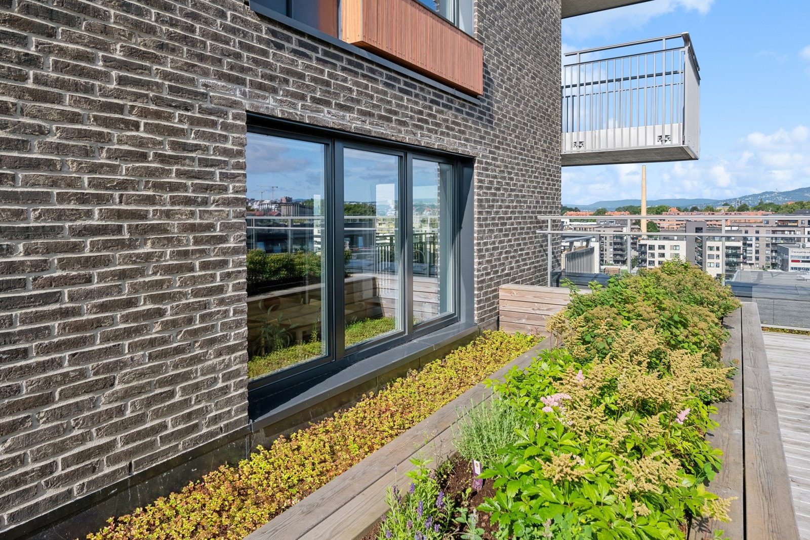 Vegetasjonen mellom leiligheten og takterrassen Galleribilde