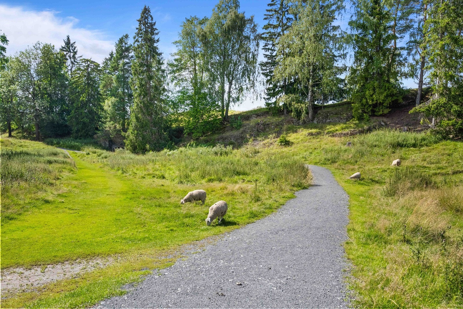 Eiendommen grenser til det idylliske Sauejordet med fine turmuligheter videre inn til Bærumsmarka. På andre siden av jordet er det hele 2 golfbaner for de interesserte Galleribilde