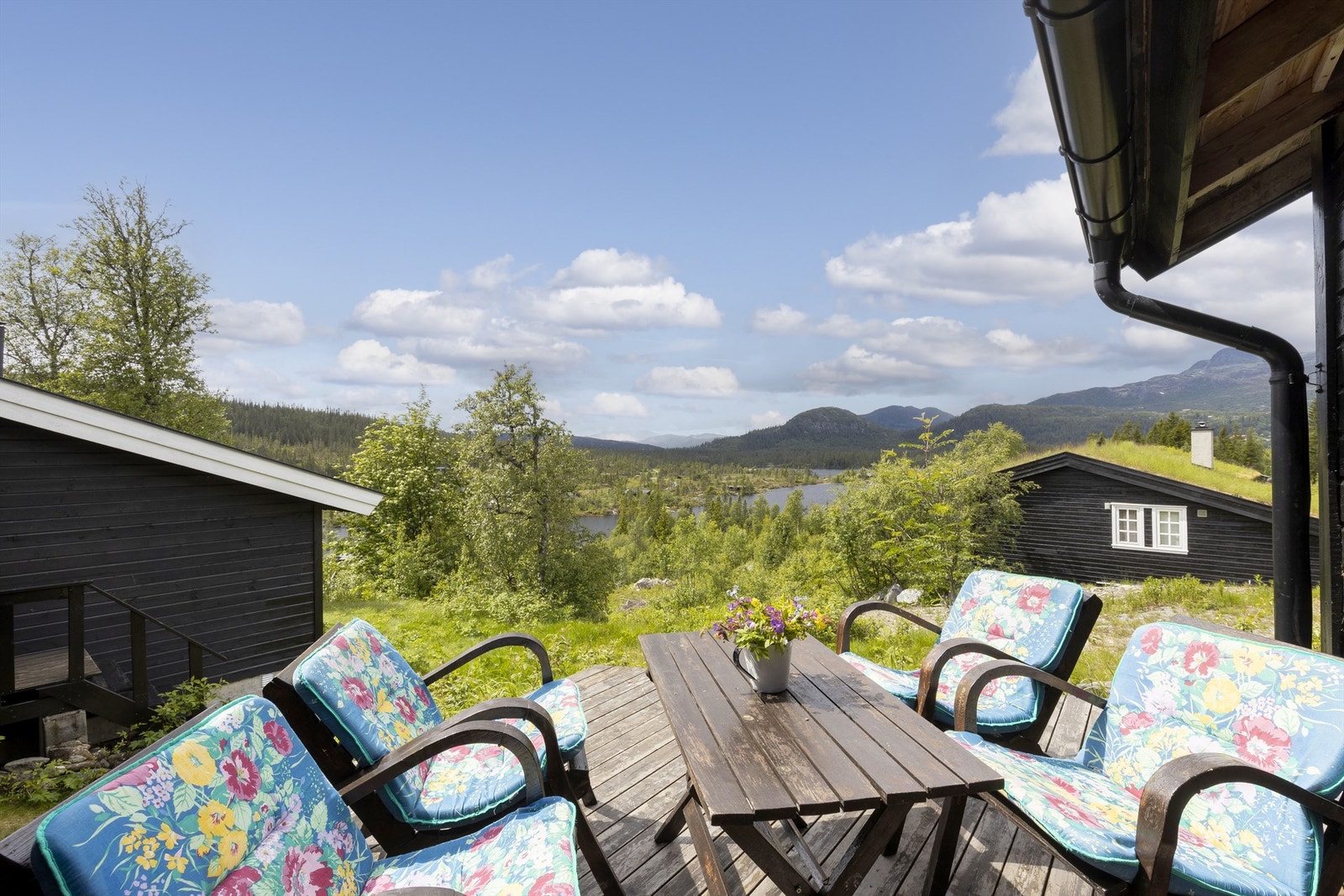 Nydelig utsikt Galleribilde