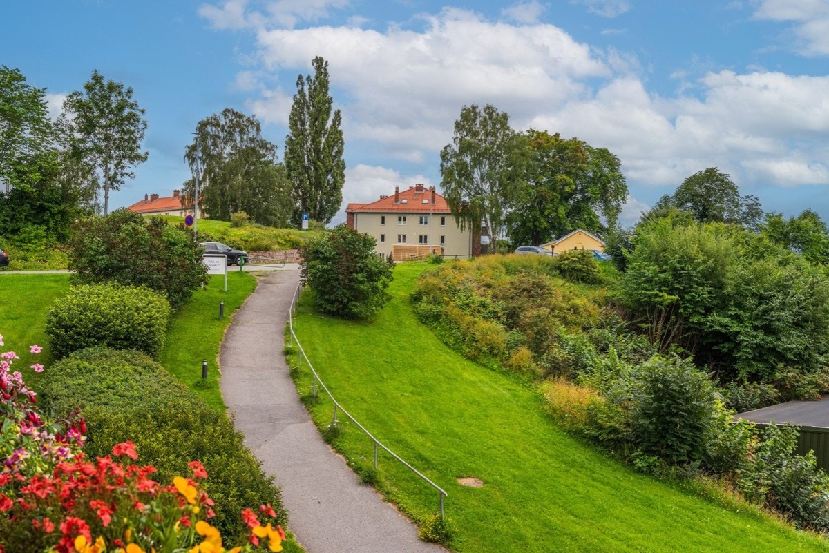 Frodig areal foranliggende blokken. Galleribilde