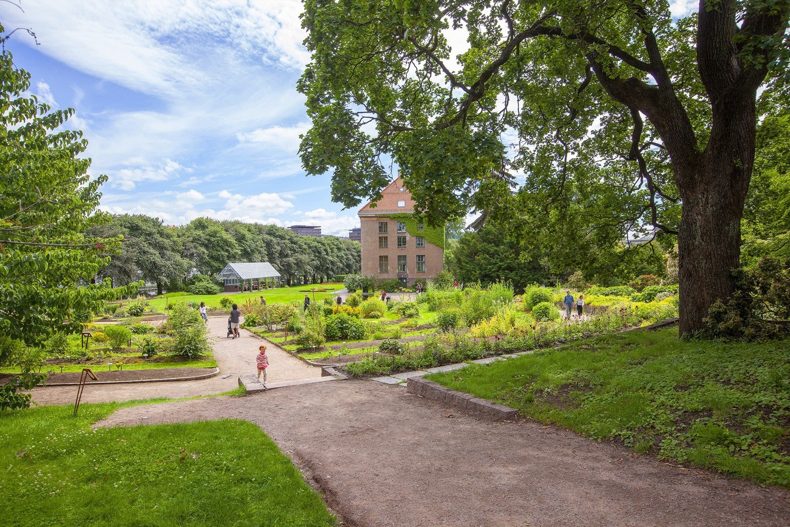 Botanisk Hage har også en hyggelig kafé Galleribilde
