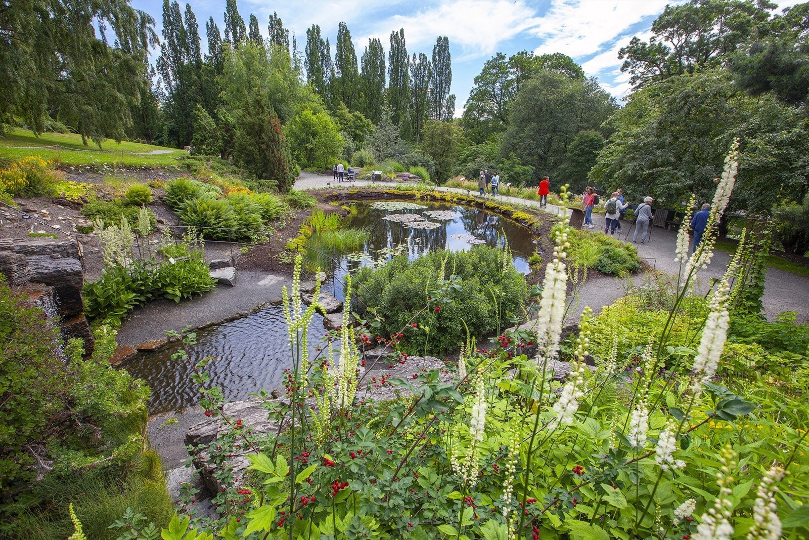 Leiligheten er nabo til eksotiske Botanisk Hage. Botanisk Hage er med sine nydelige, blomstrende magnoliatrær og varierte beplantning, en av de vakreste parkene i Oslo Galleribilde