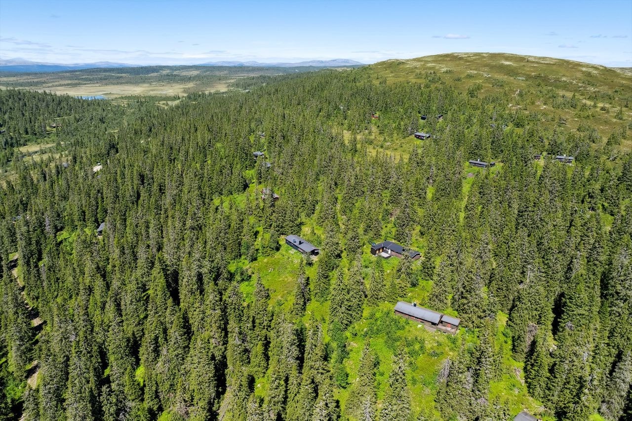 Dronebilde Galleribilde