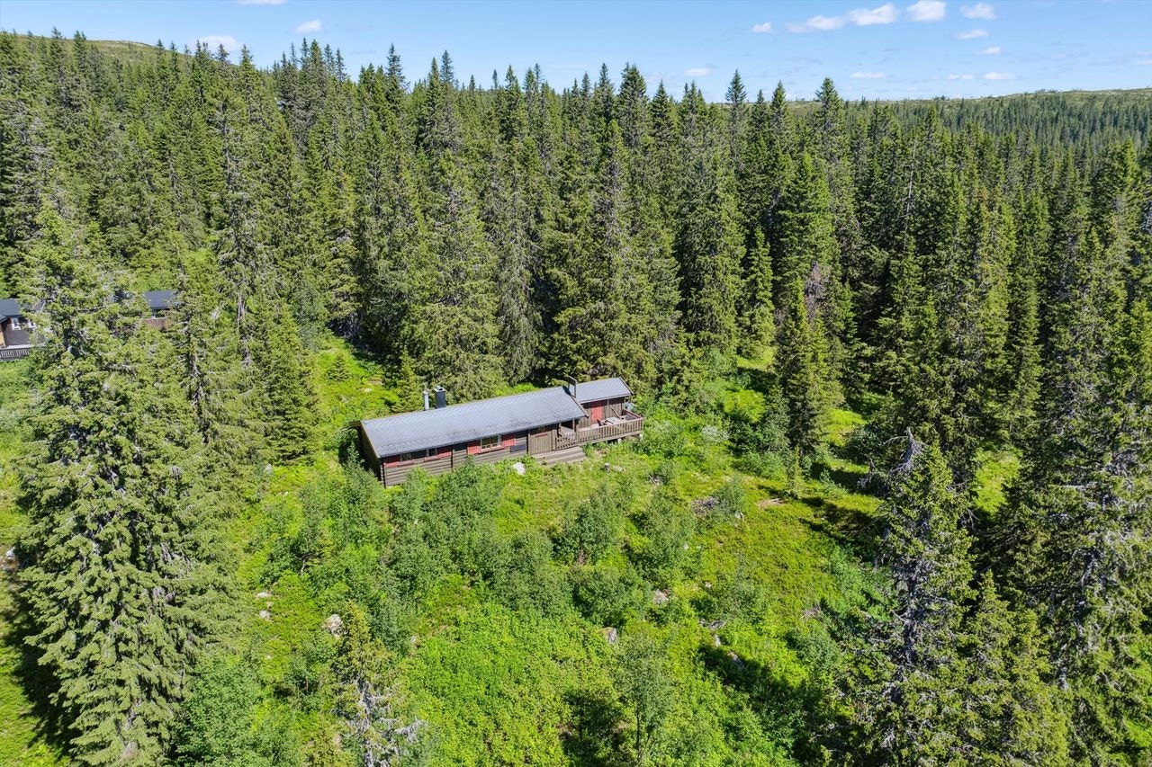 Dronebilde Galleribilde