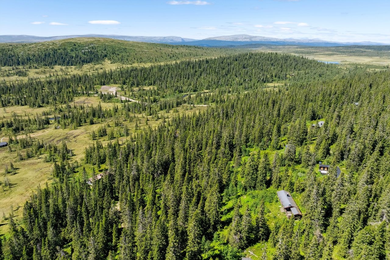 Dronebilde Galleribilde