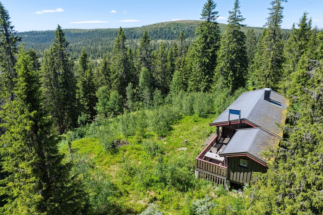 Hytta ligger tett på løyper og stier som er tilknyttet et nettverk av tilrettelagte traseer i vakkert skogs- og fjellterreng. Her kan du bruke ski, sykkel eller gå til fots. Området er kjent for god småviltjakt og fine multemyrer. Galleribilde