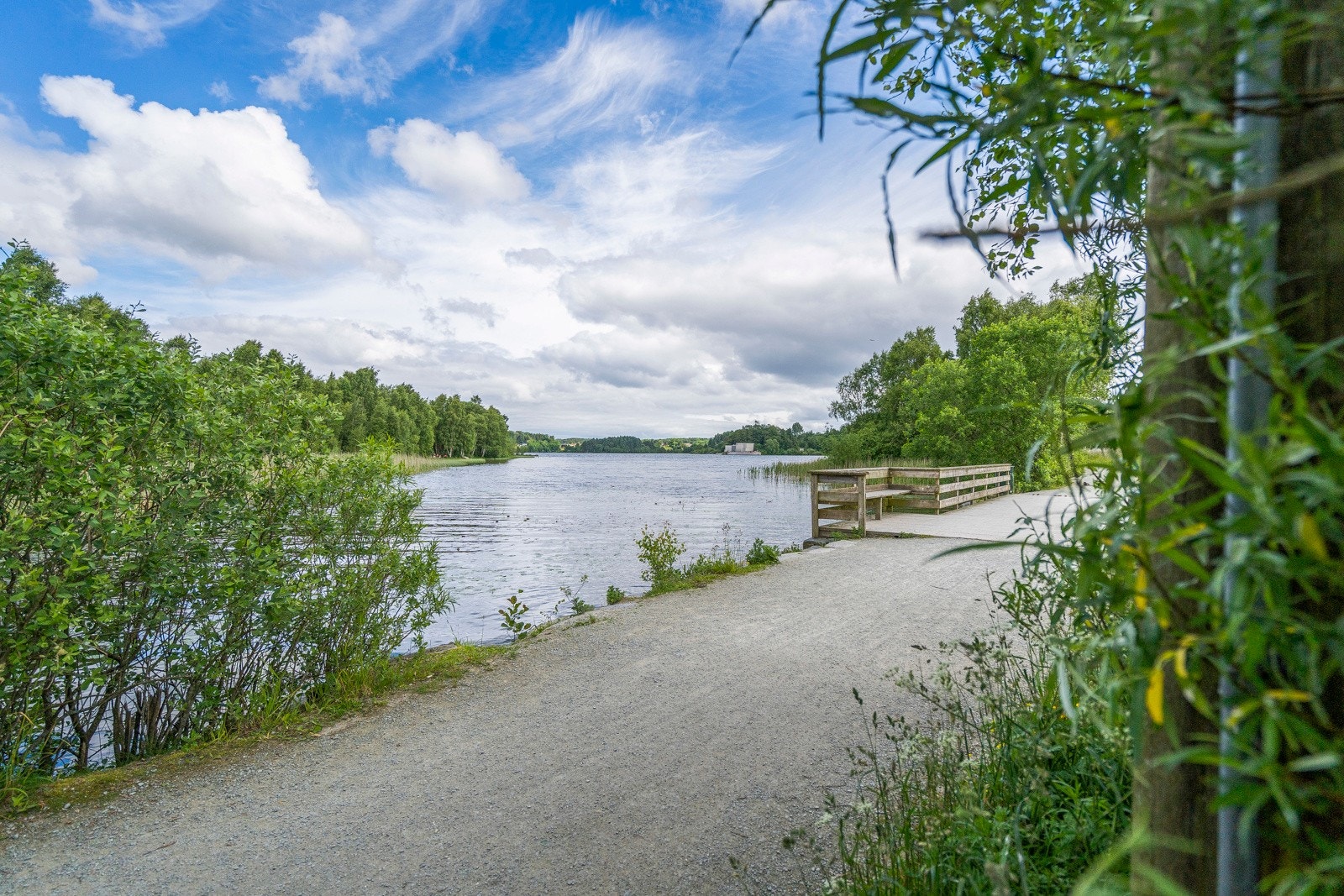 Nærområde. Galleribilde