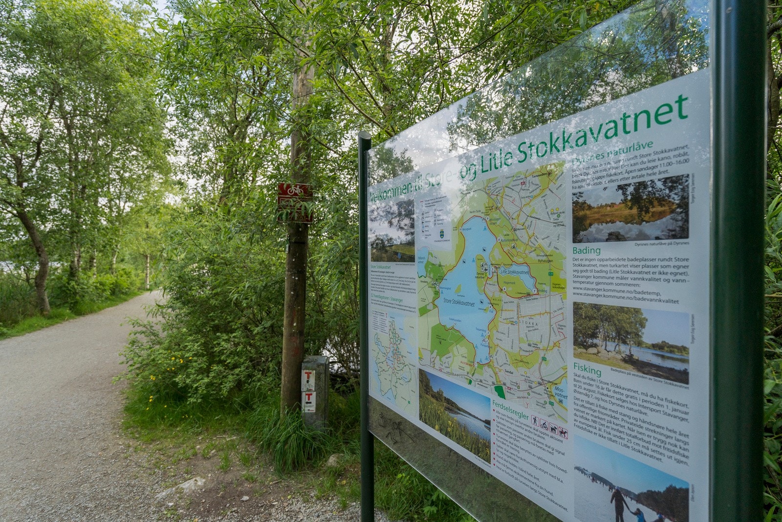 Nærområde. Galleribilde