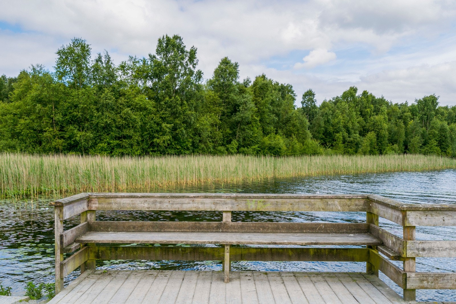 Nærområde. Galleribilde