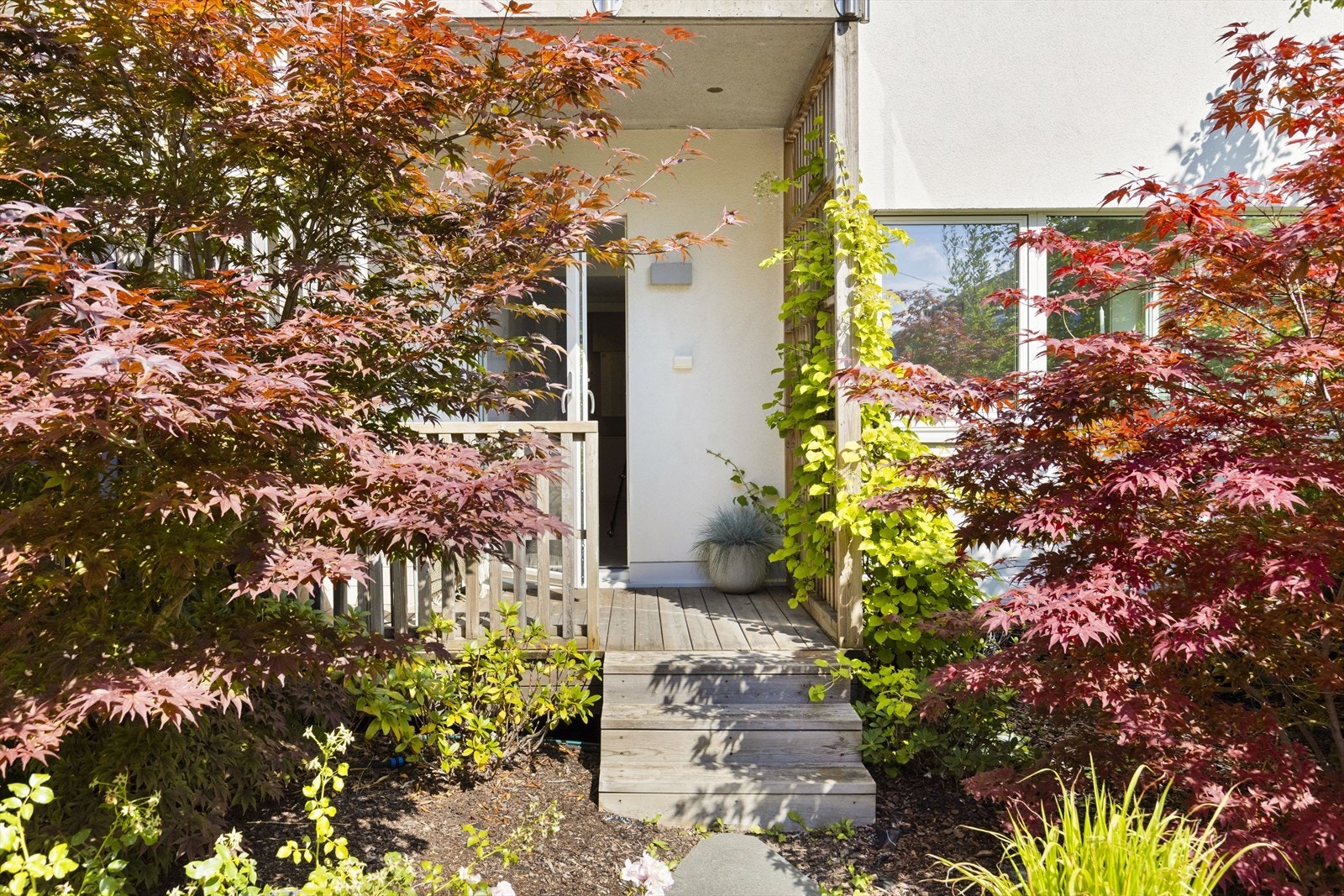 Terrassen ligger delvis skjermet mot innsyn av ulike busker og trær Galleribilde