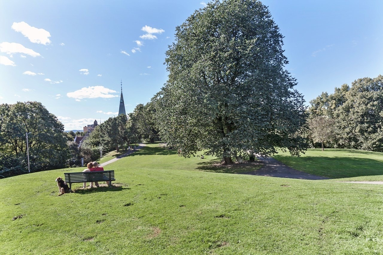 Stensparken ligger like i nærheten og er perfekt på solrike dager Galleribilde