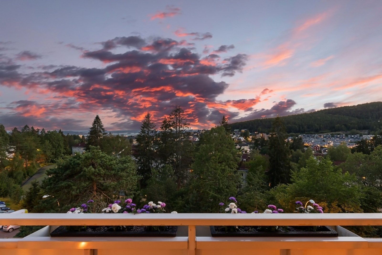 Dyrehold er tillatt så lenge det ikke er til vesentlig ulempe eller sjenanse for andre beboere. Galleribilde