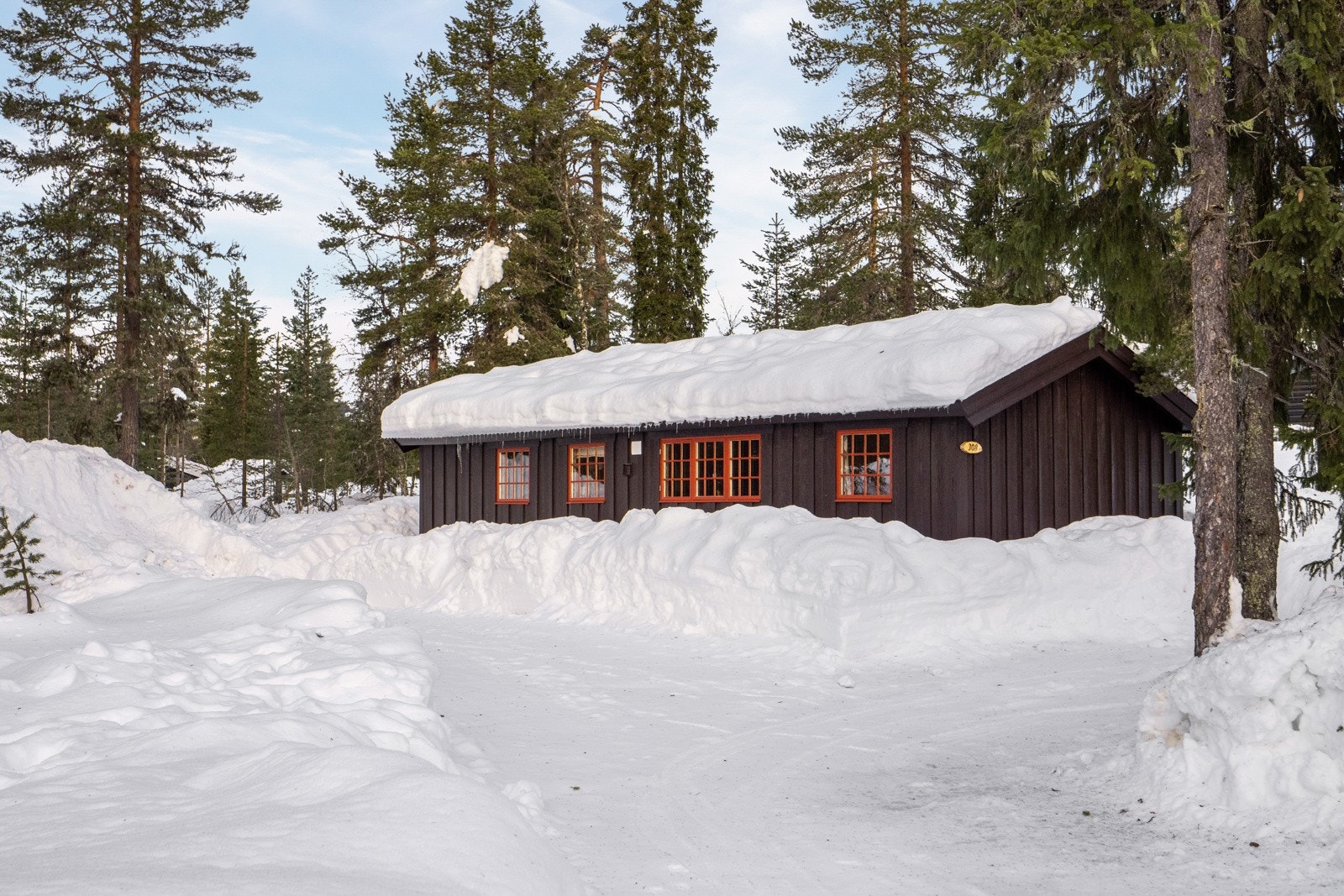Kort avstand til skibussen fra hytta. Galleribilde