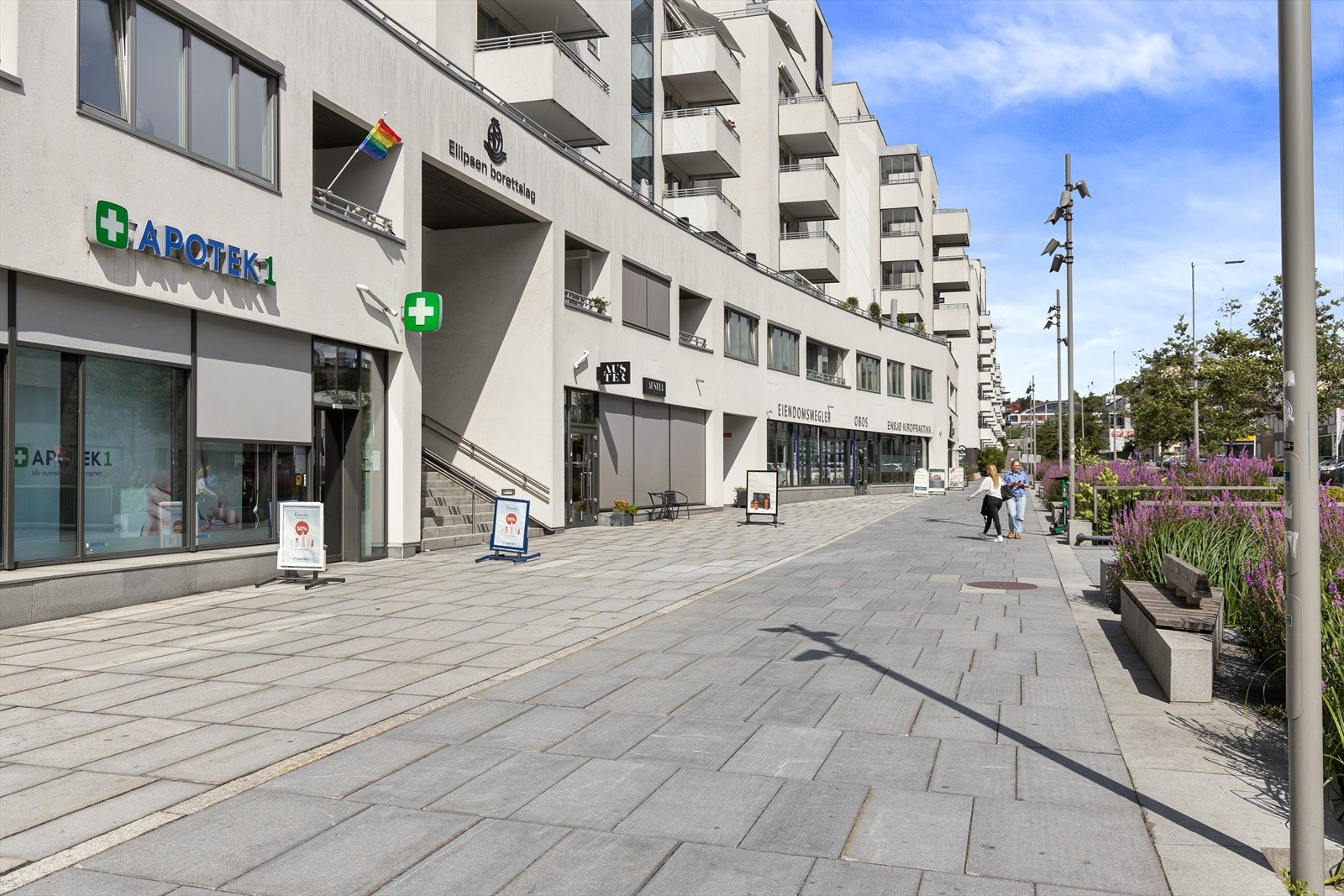 Områdebilde. Galleribilde