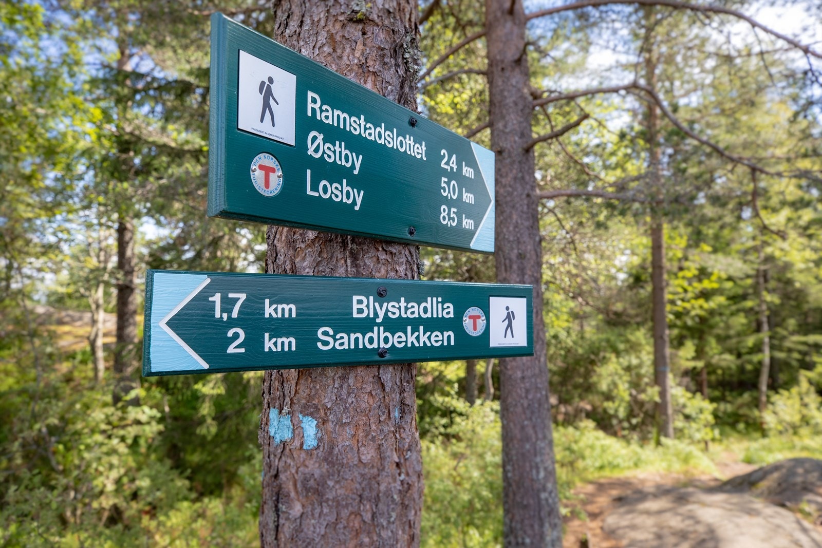 Boligen ligger i et rolig område, omkranset av skog, fotballbaner, barnehager, skoler, butikker. Østmarka er tilgjengelig for turelskere. Galleribilde