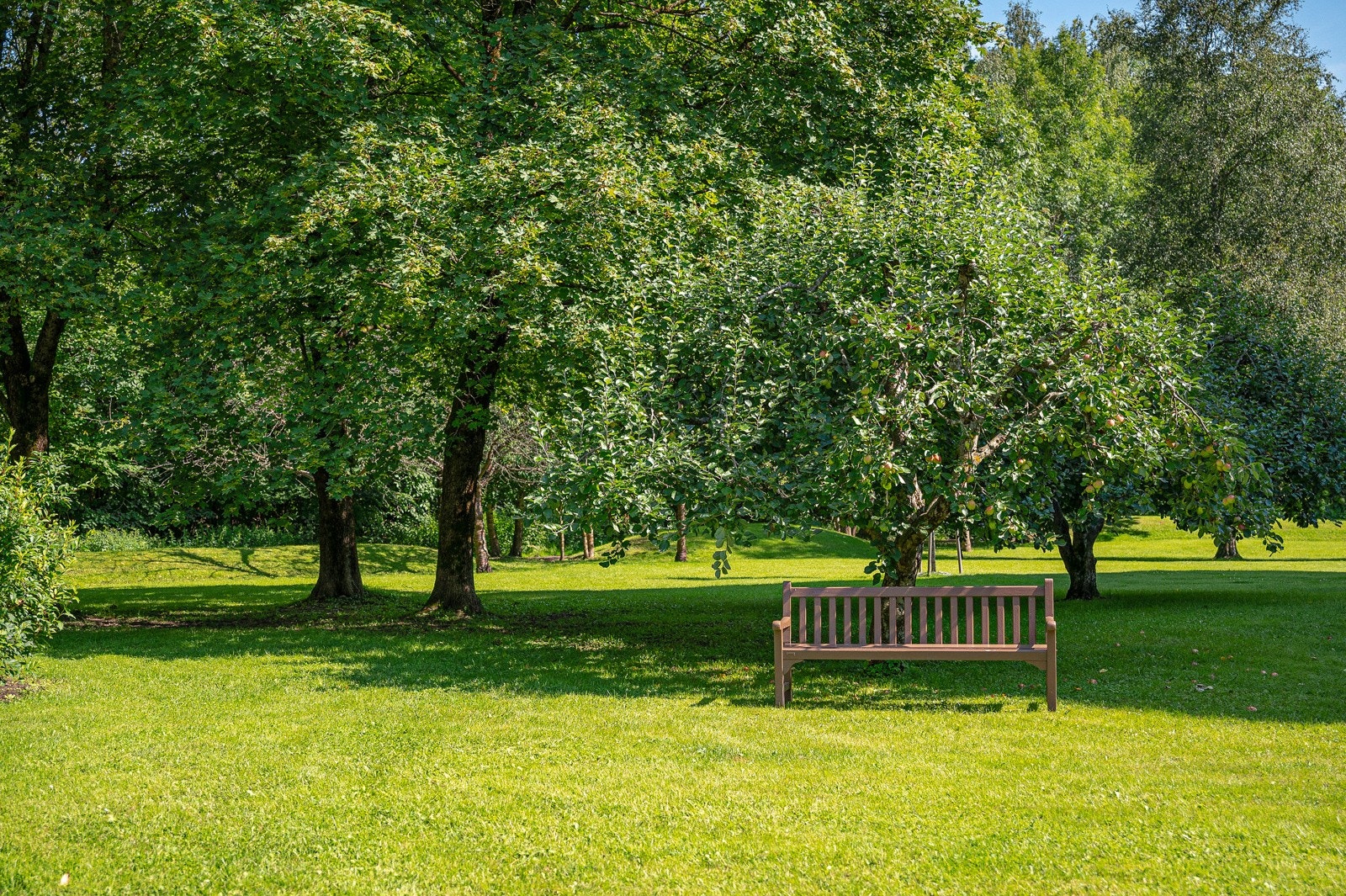 Borettslaget har fine og parkmessige opparbeidet fellesarealer. Galleribilde