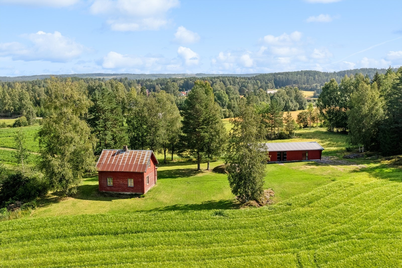 Meget pent tun som er flatt. Galleribilde