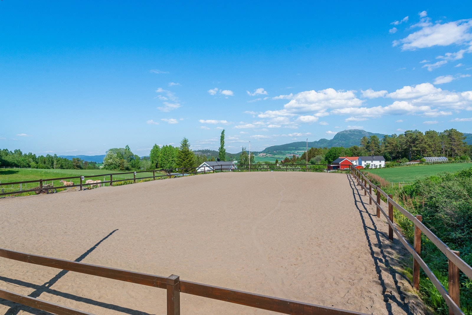 Ridebane på 20x40 meter. Galleribilde