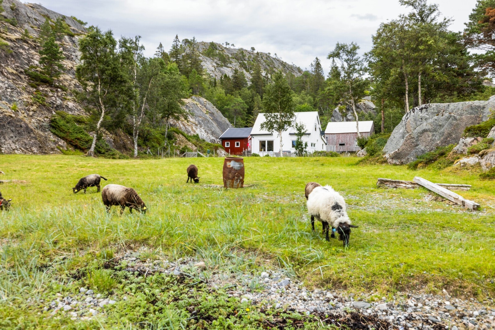 Sommeridyll Galleribilde