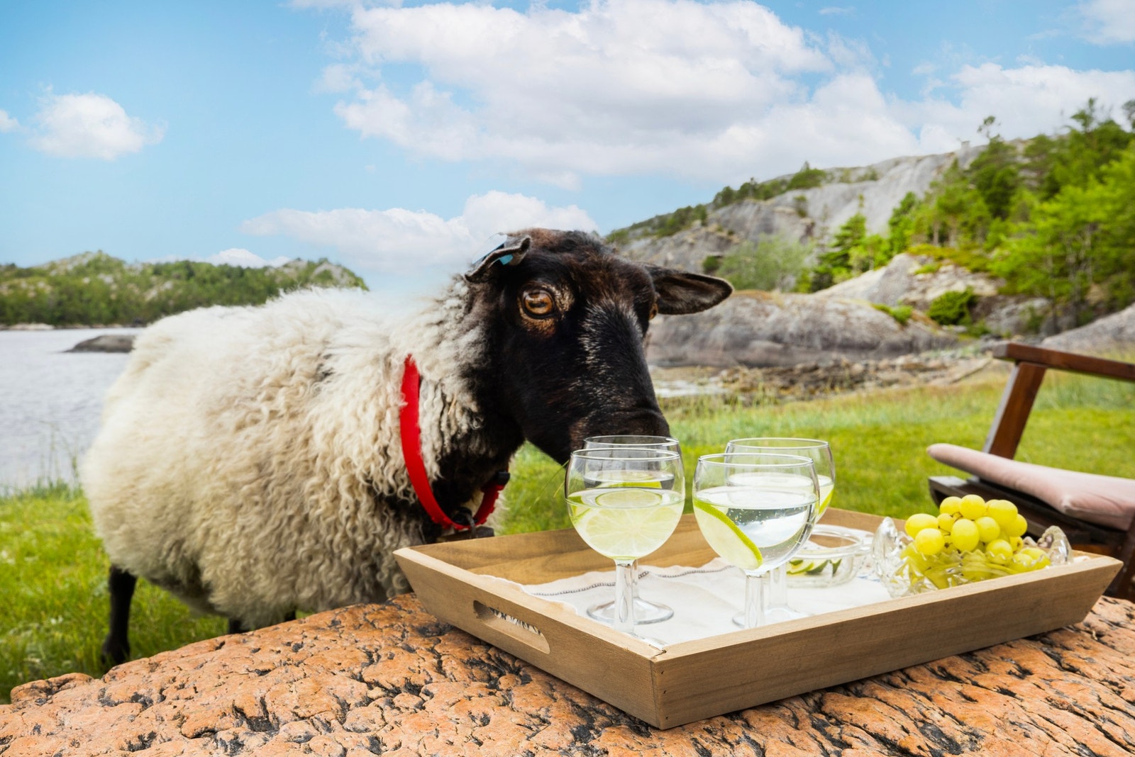 Sommerstemning! Galleribilde