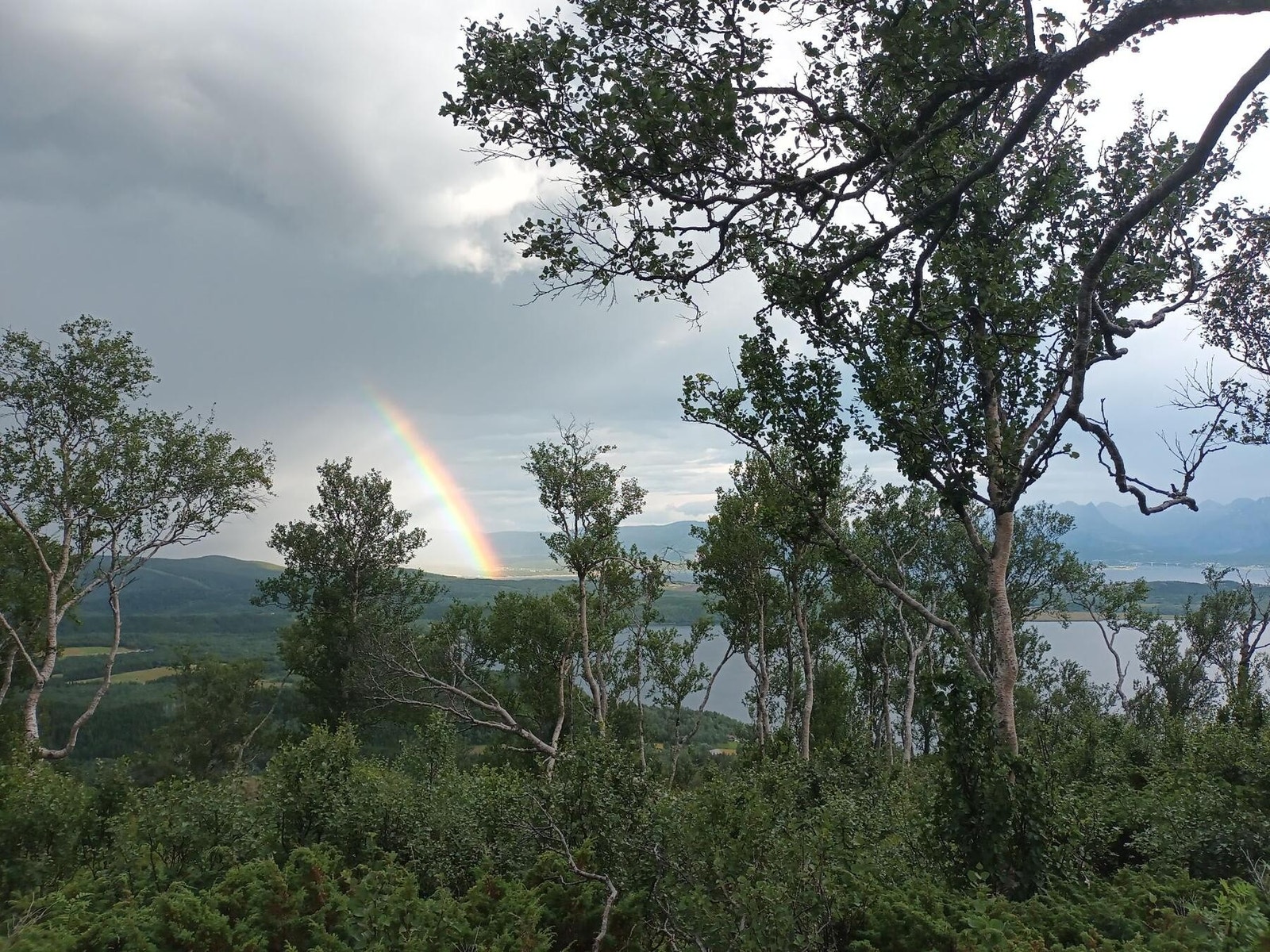 Fra hytta kan man gå opp til Mostifjellet. Galleribilde