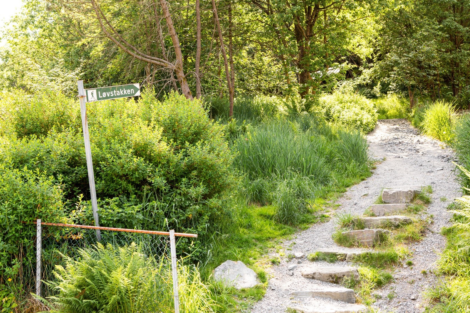 For den turglade kan området by på en rekke turmuligheter: Like utenfor døren begynner turstien opp til Løvstakken, som er en populær fjelltur for den aktive Bergenser. Galleribilde