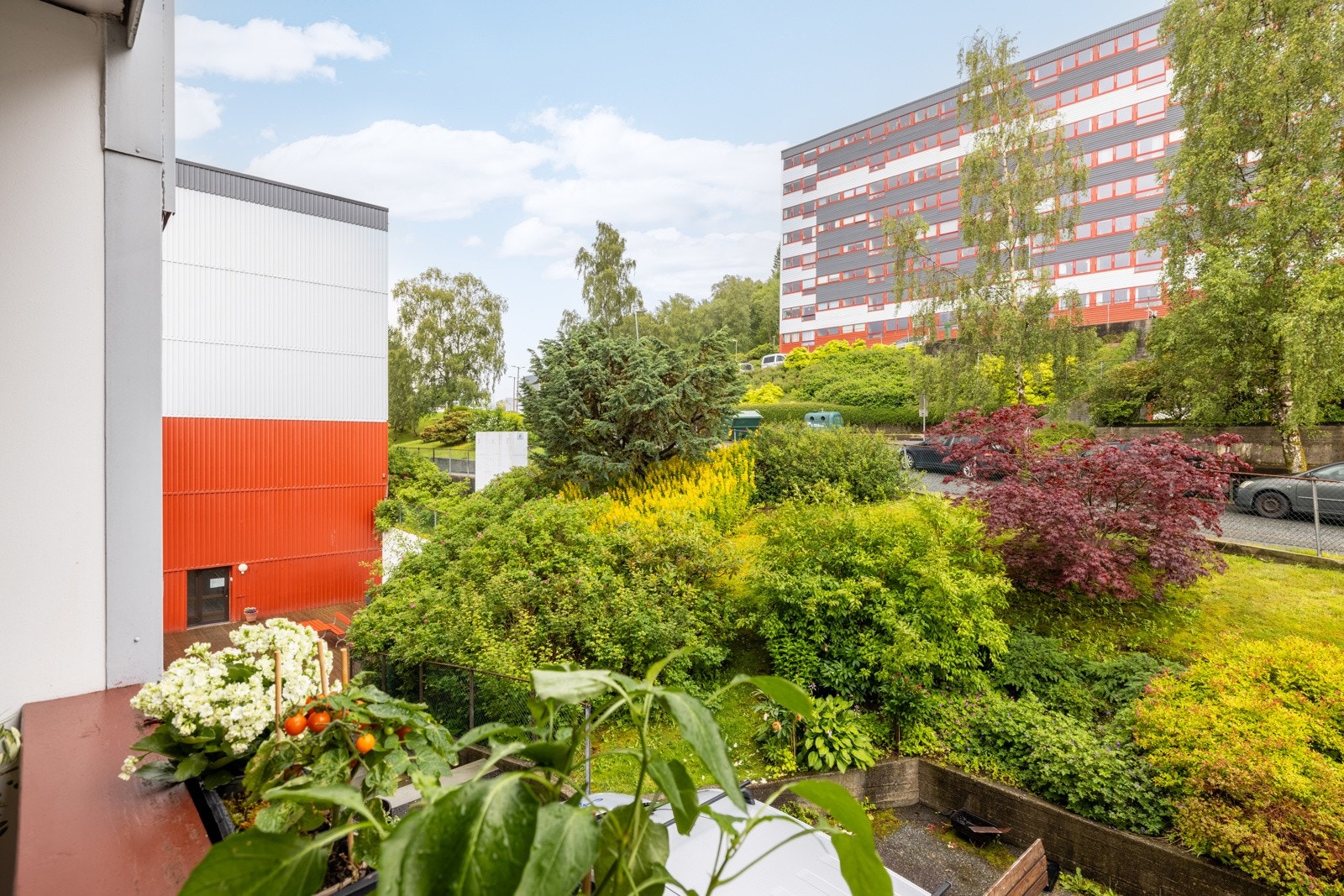 Her kan du nyte morgenkaffen med deilig sol. Galleribilde