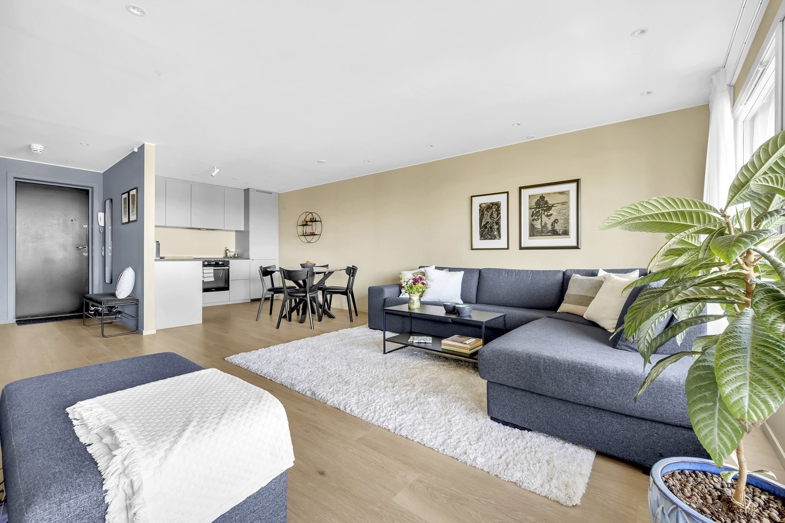 Åpen, samtidig skjermet plassering av kjøkkenet Galleribilde