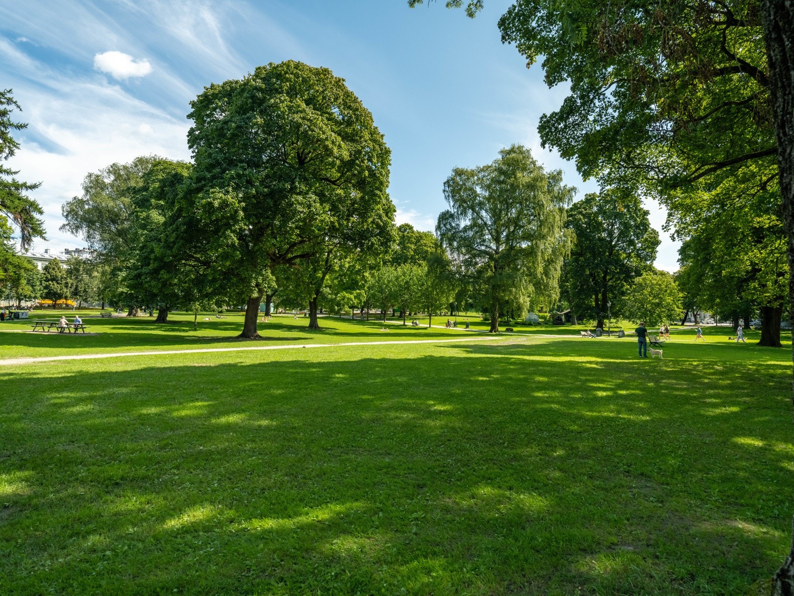 Det er også flere parker og grøntområder, som Sofienbergparken, Birkelunden og Olaf Ryes plass. Galleribilde