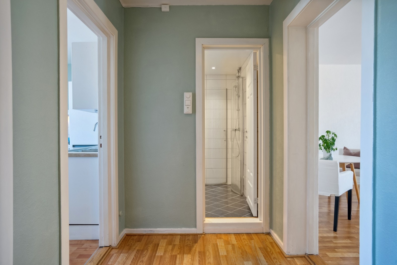 Praktisk entré Galleribilde