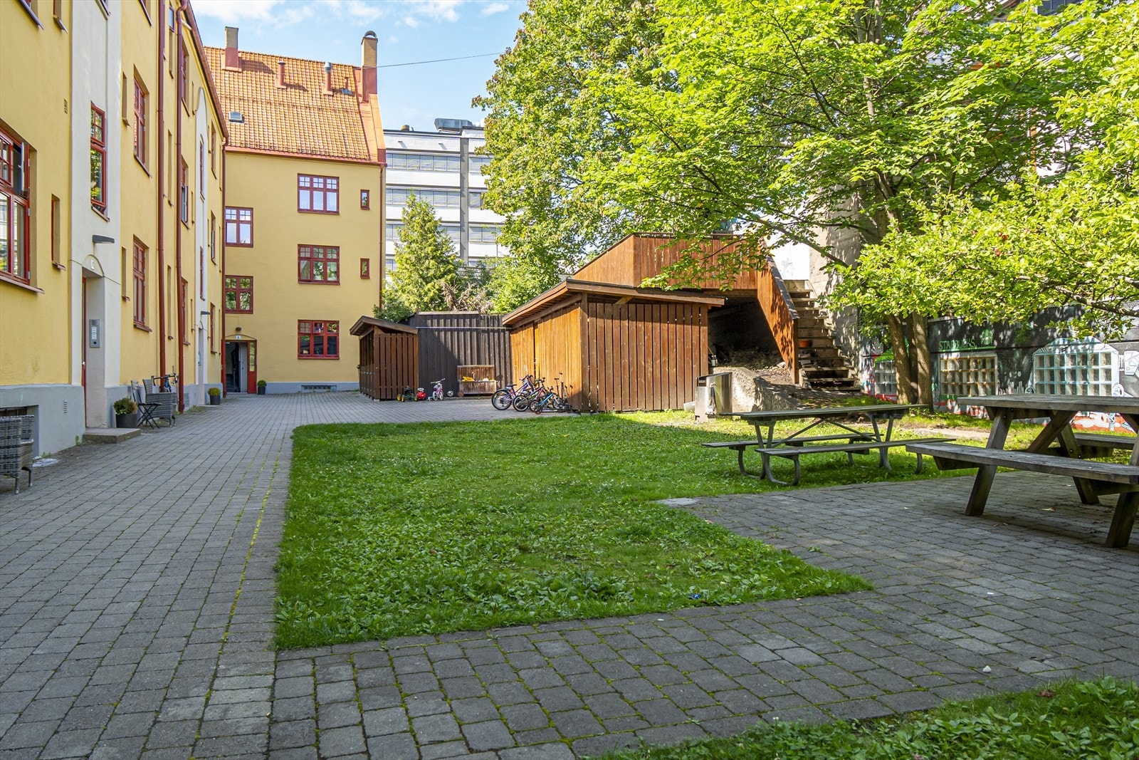 Skjermet og rolig bakgård med plen og beplanting Galleribilde