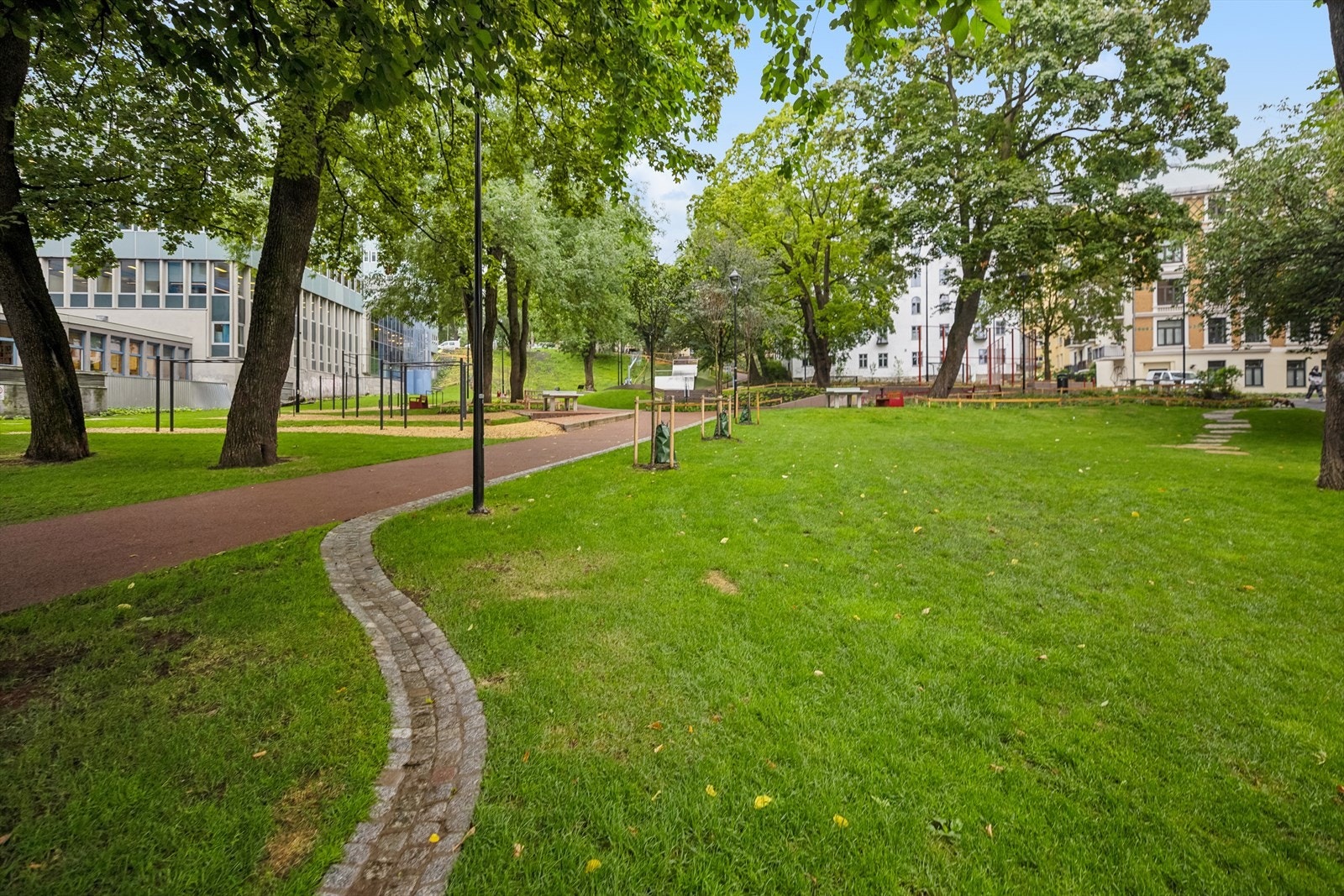 Området. Galleribilde