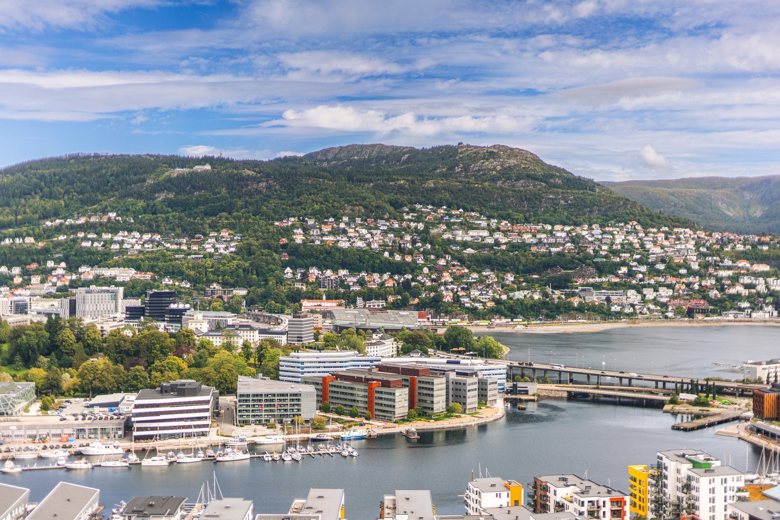 Morgen- og formiddagssol. Galleribilde