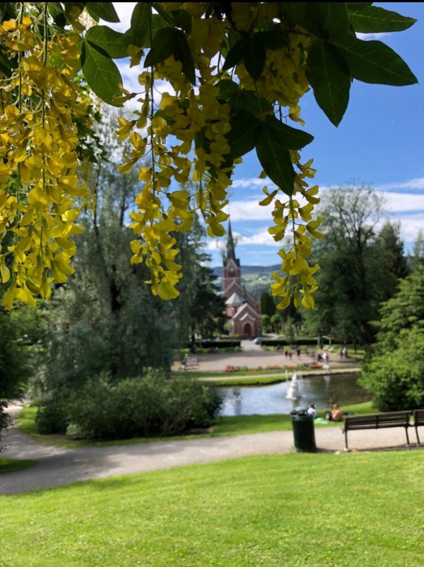 Søndre park Galleribilde