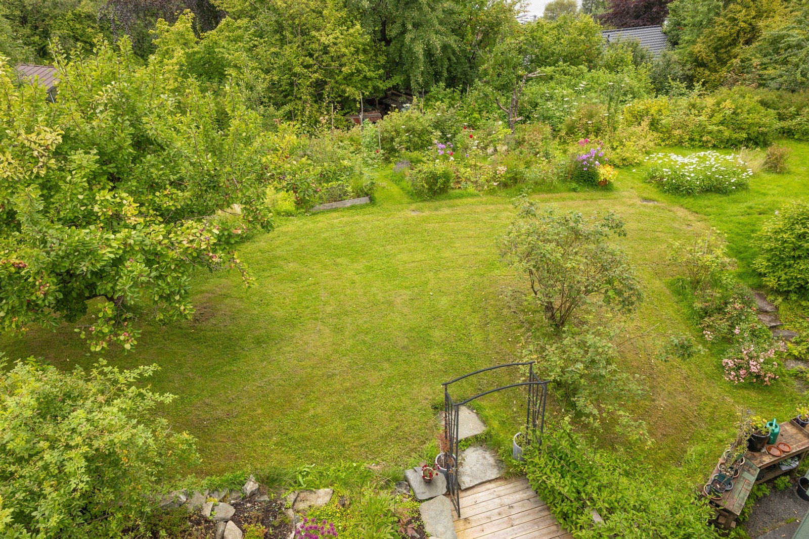 Hagen byr på plommetrær, ripsbær, solbær, epler, stikkelsbær og bringebær! Galleribilde