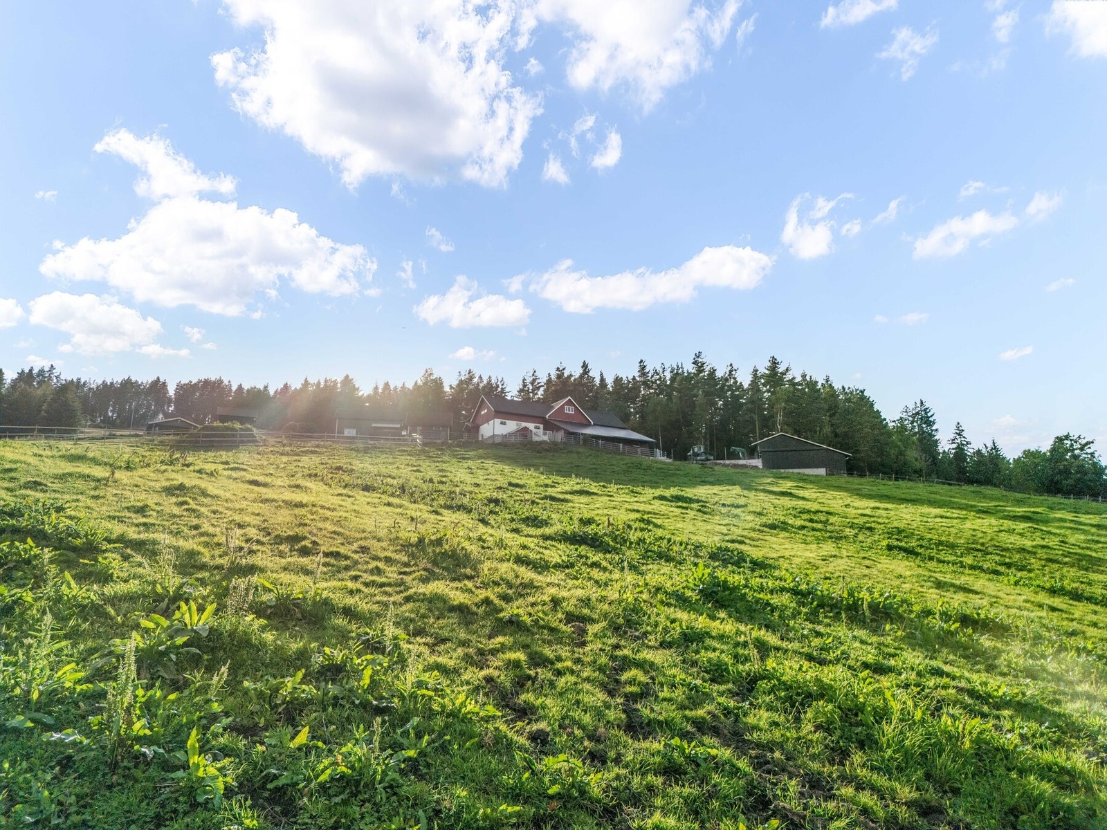 Velkommen til visning! Galleribilde